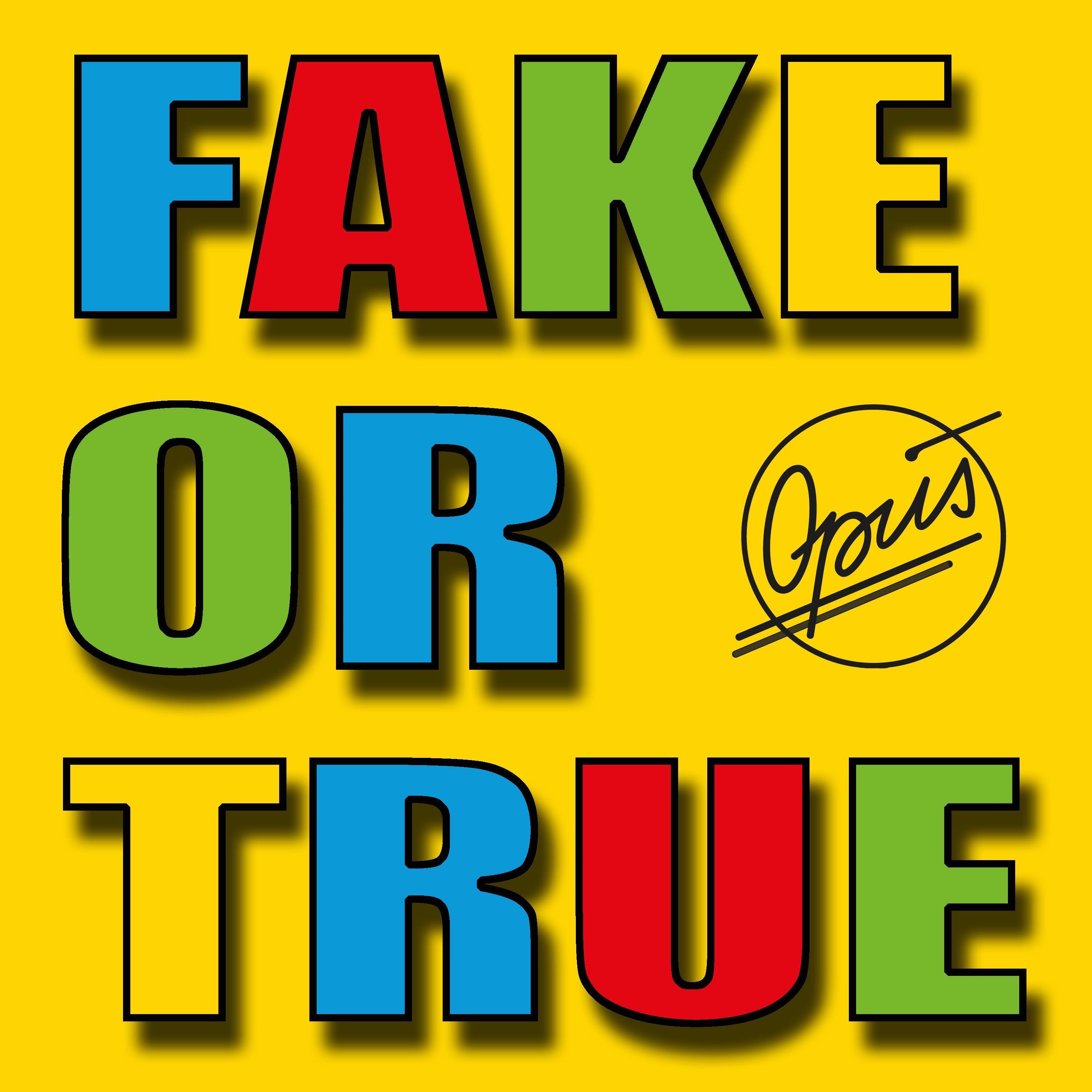 Fake or True - Single album cover