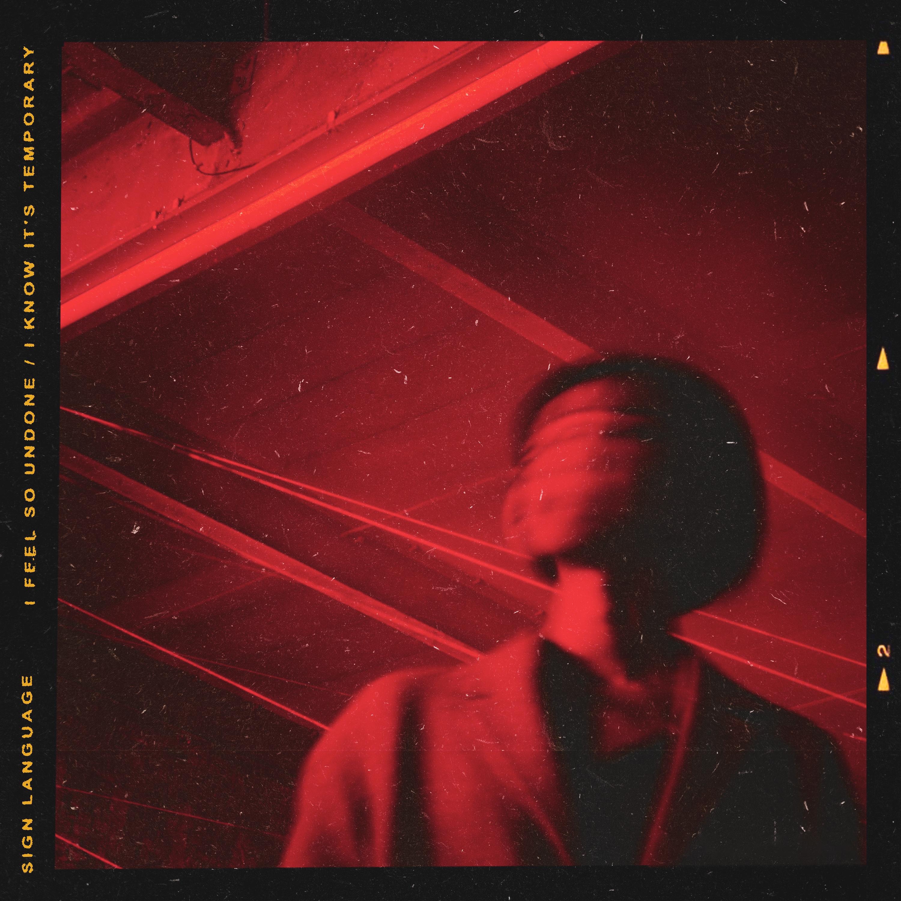 I Feel So Undone / I Know It's Temporary - Single album cover