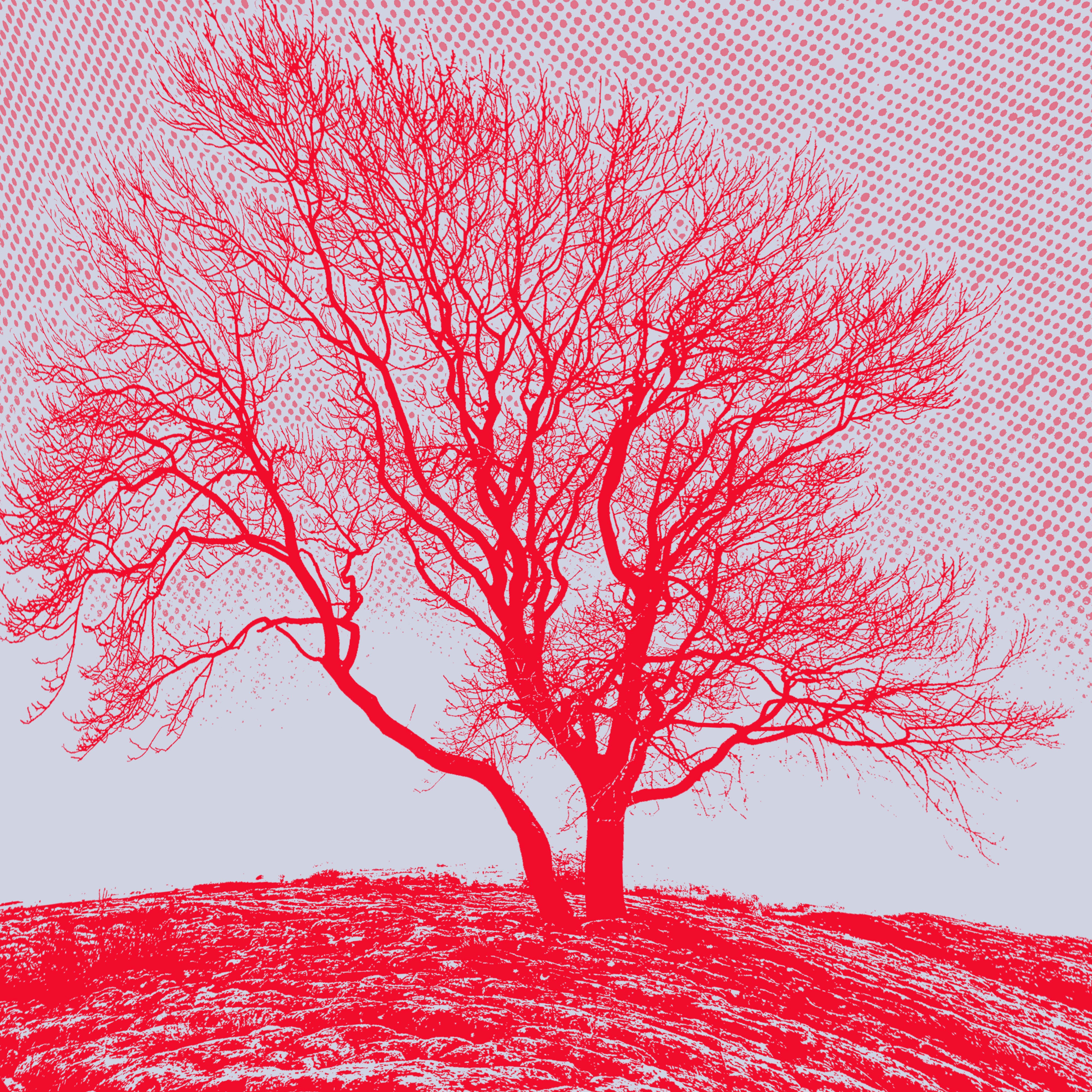 Baum album cover