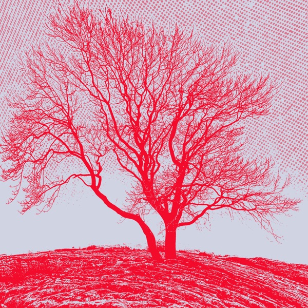 Baum album cover