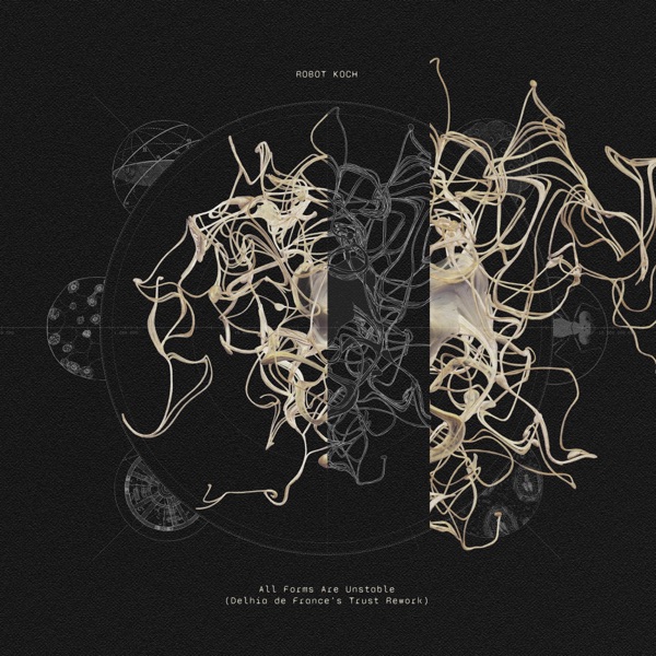 All Forms Are Unstable (Delhia de France’s Trust Rework) - Single album cover
