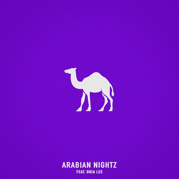 Arabian Nightz (feat. Bria Lee) - Single album cover