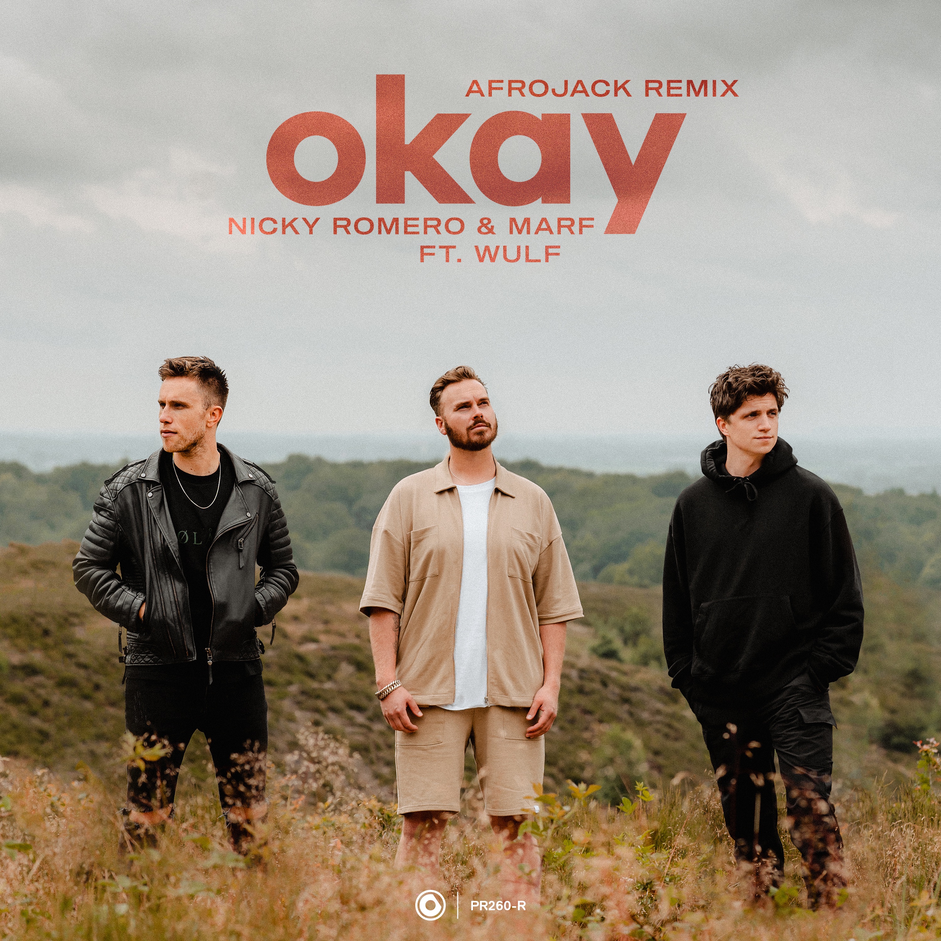 Okay (feat. Wulf) [Afrojack Remix] - Single album cover