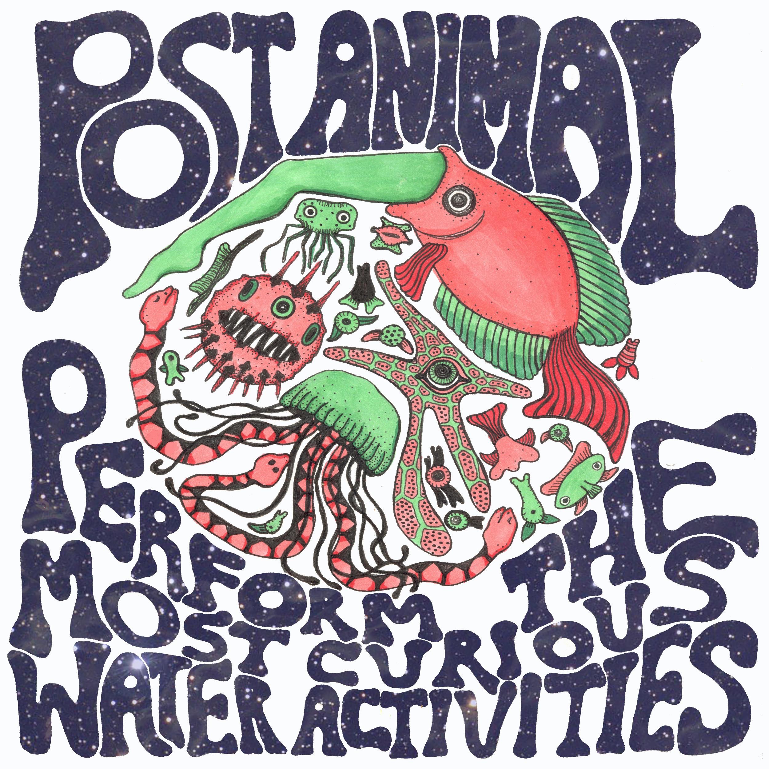 Post Animal Perform the Most Curious Water Activities album cover