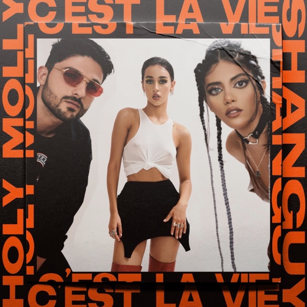 C'est la Vie (NRD1 Remix) - Single album cover
