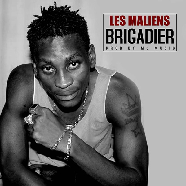Les maliens - Single album cover
