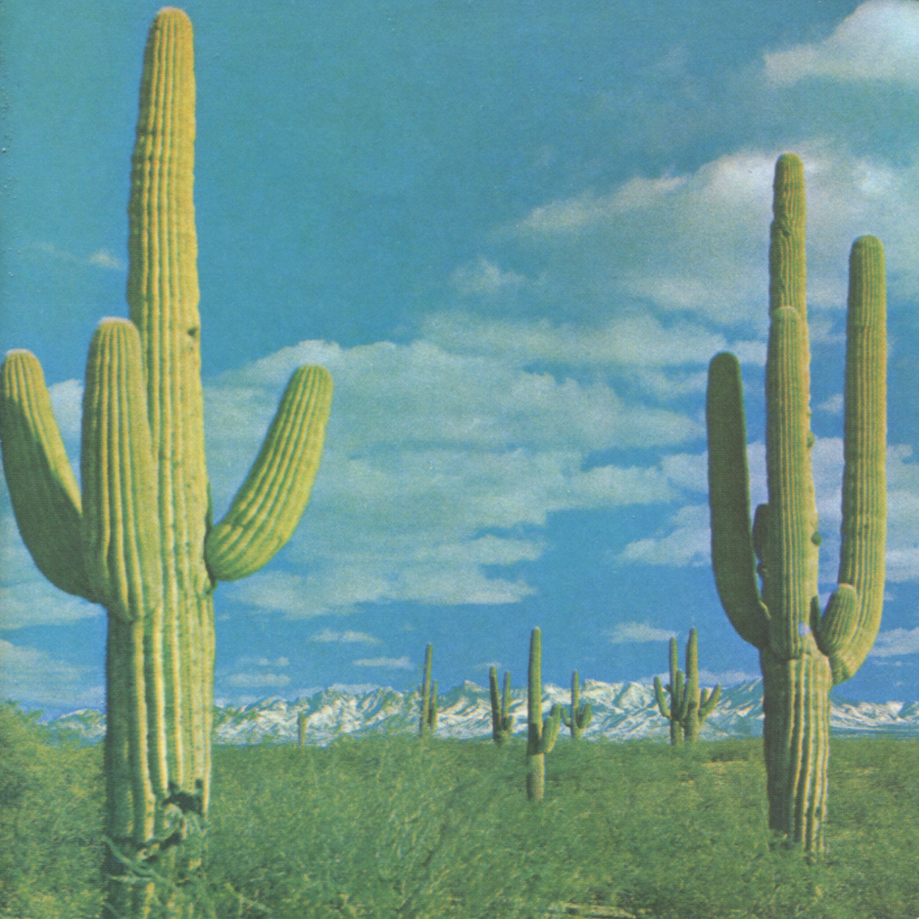 The State of Art Is on Fire album cover