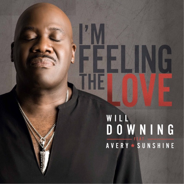 I'm Feeling the Love (feat. Avery*Sunshine) - Single album cover