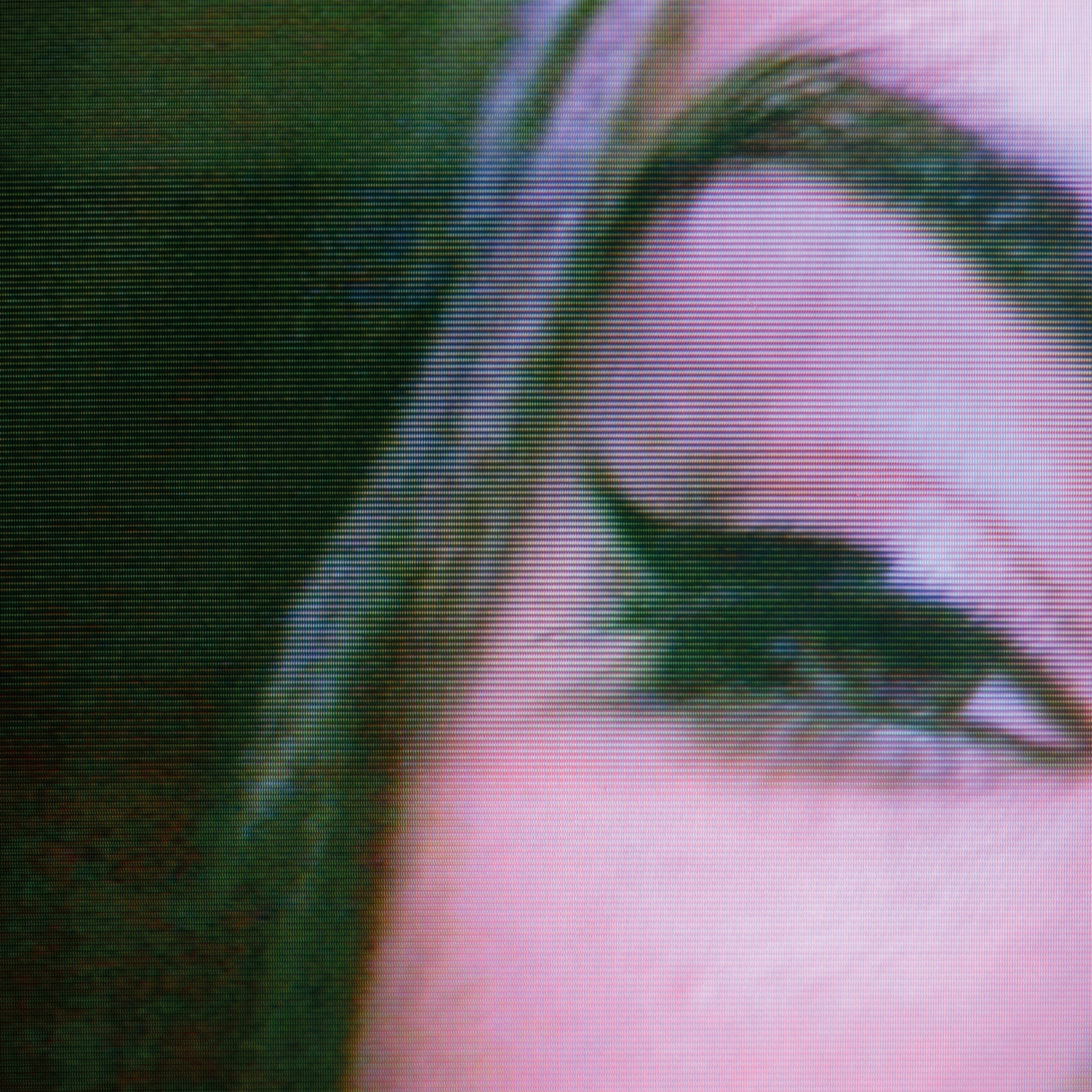 Honey - Single album cover