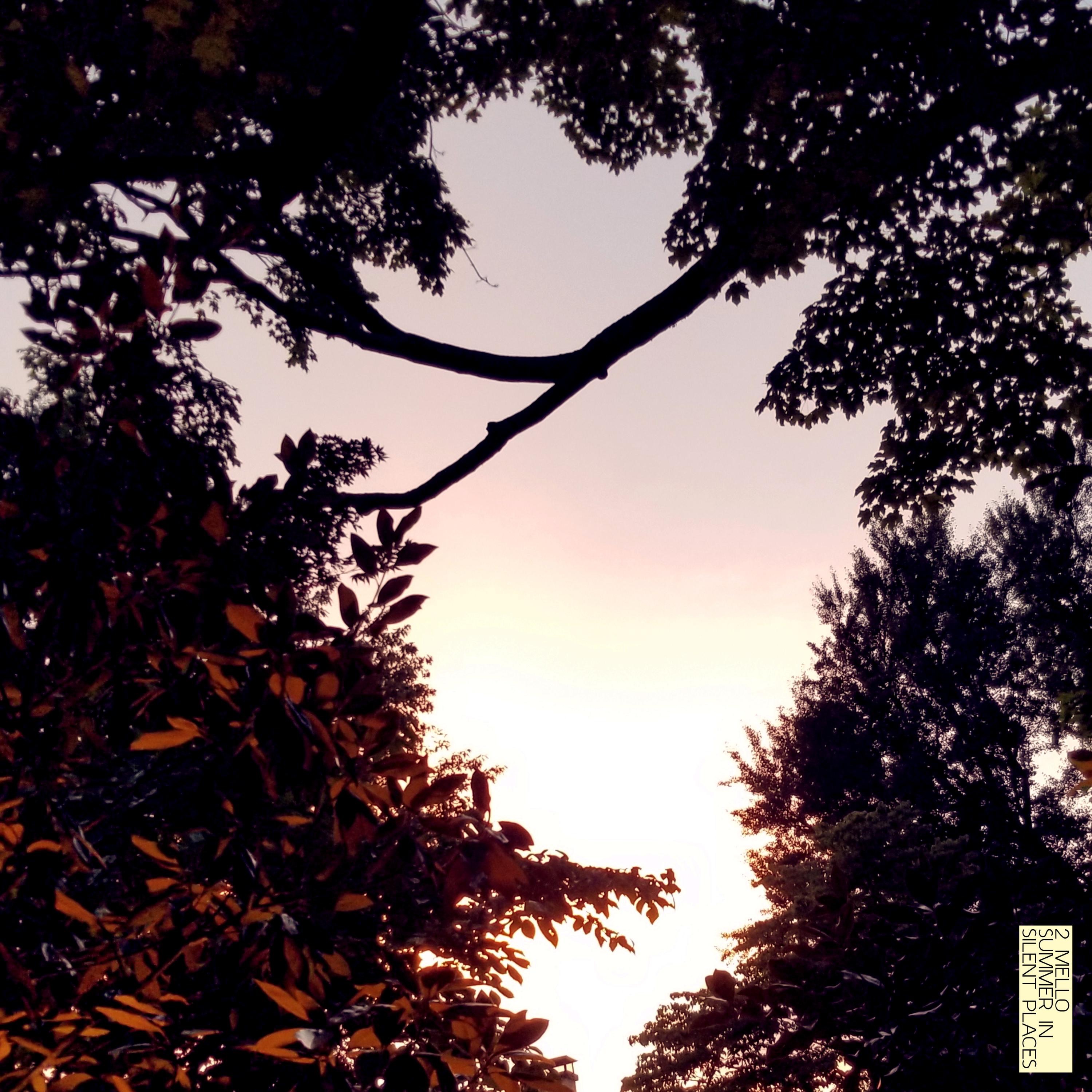 Summer in Silent Places album cover