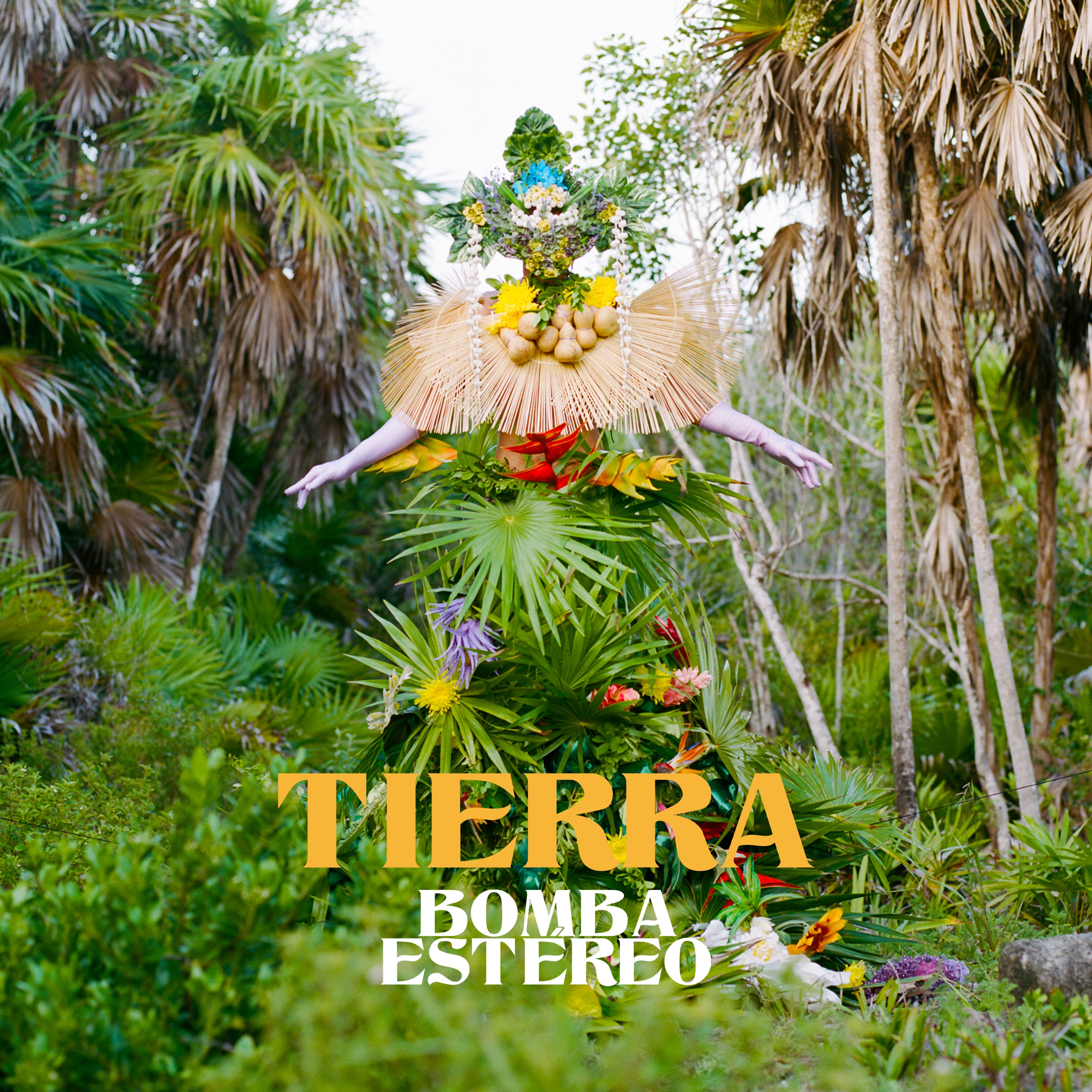 Tierra - Single album cover