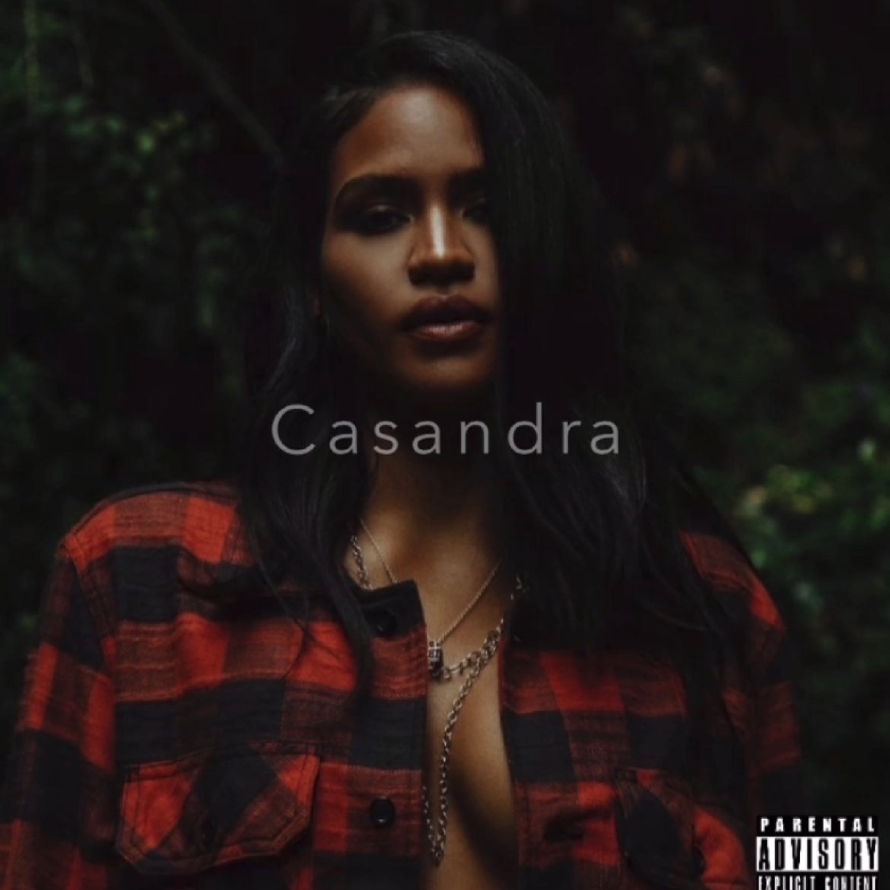 Casandra Deluxe Edition (Radio Edit) - Single album cover