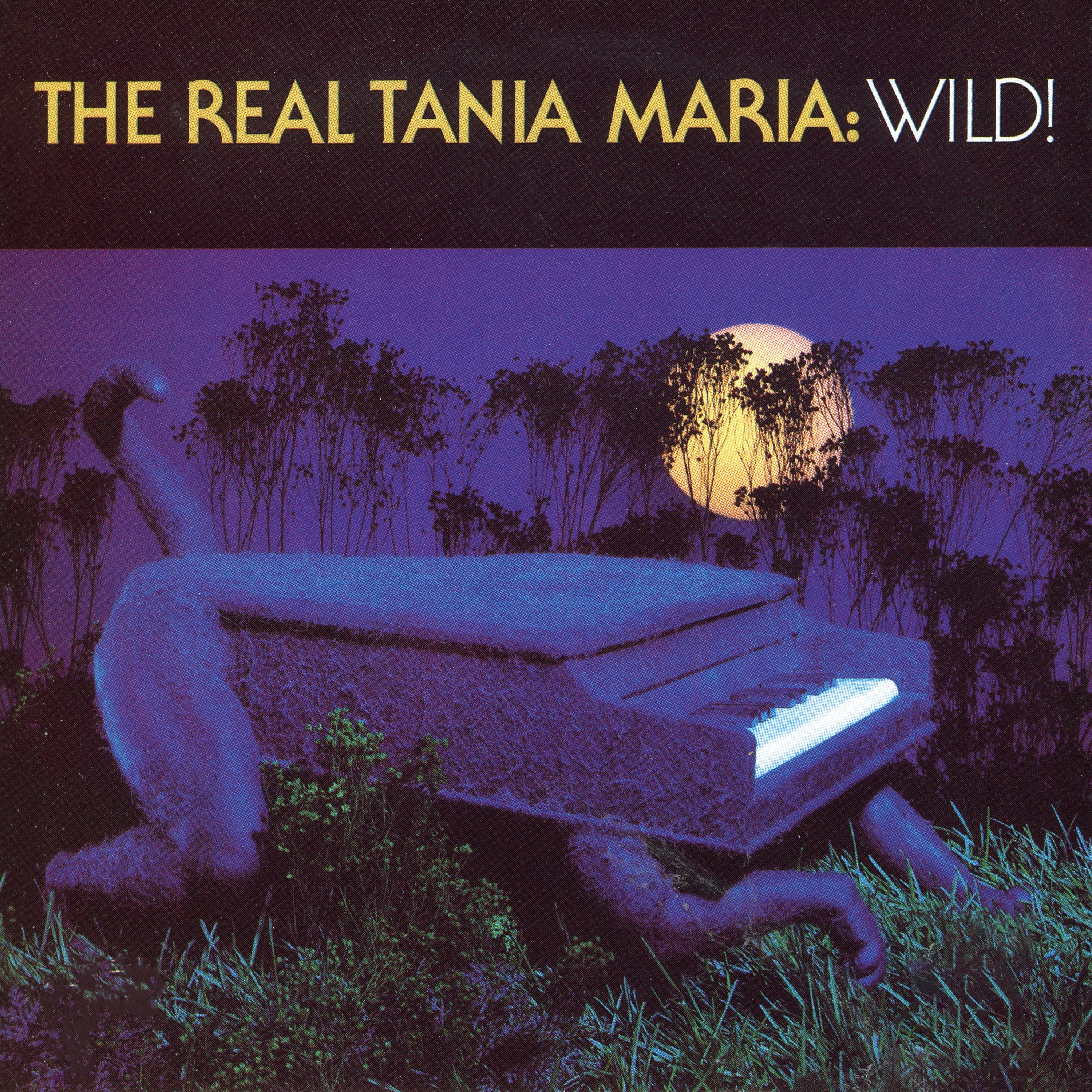 The Real Tania María: Wild! album cover