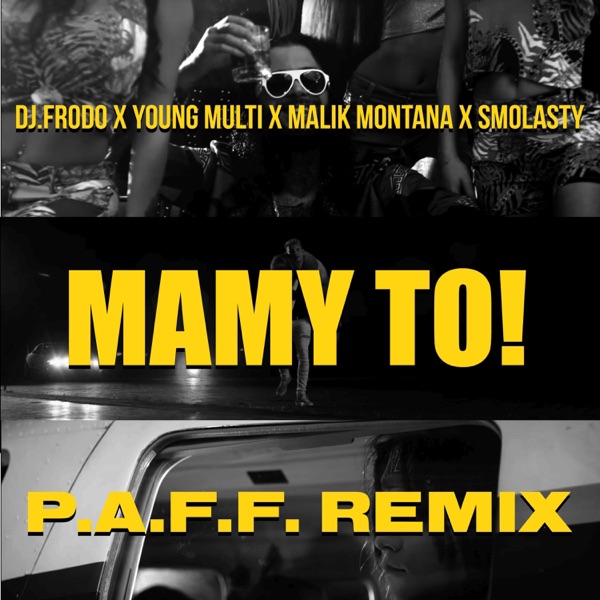 Mamy To! (P.A.F.F. Remix) - Single album cover