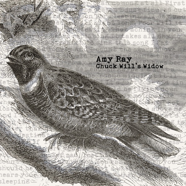 Chuck Will's Widow (Video Mix) [feat. The War and Treaty & Michelle Malone] - Single album cover