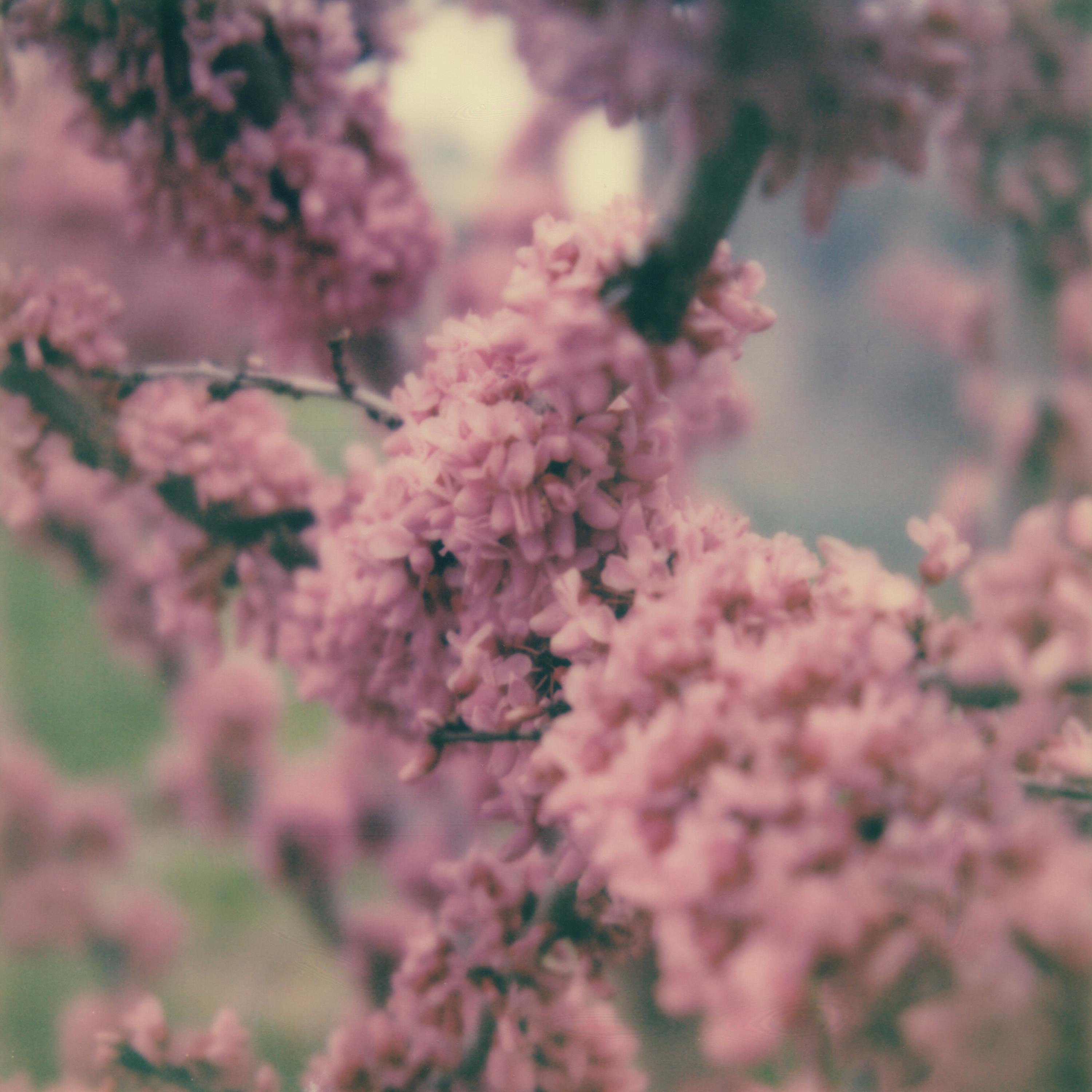 Unfailing Love album cover