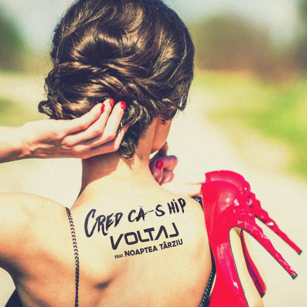 Cred ca-s Hip (feat. Noaptea Tarziu) - Single album cover
