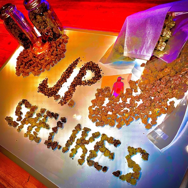 She Likes (feat. Dizzy Wright) - Single album cover
