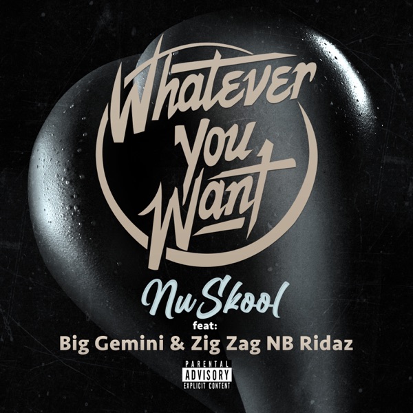 Whatever You Want (feat. Big Gemini & Zig Zag) - Single album cover