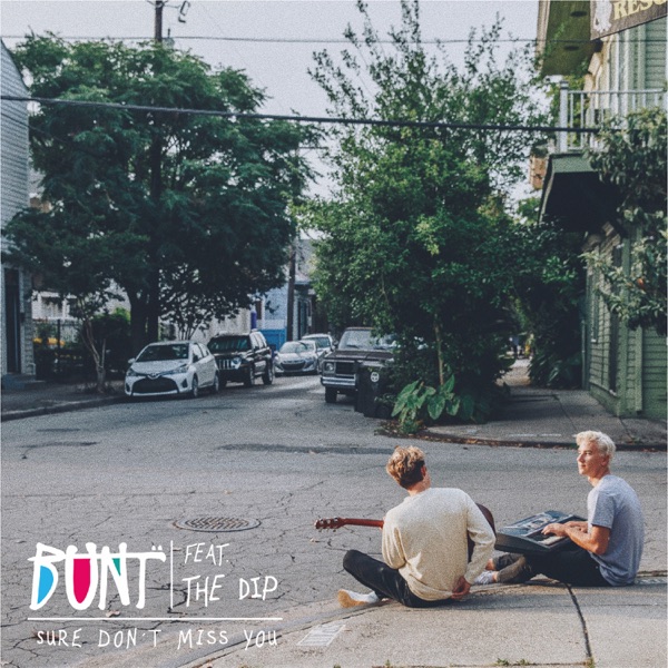 Sure Don't Miss You (feat. The Dip) - Single album cover