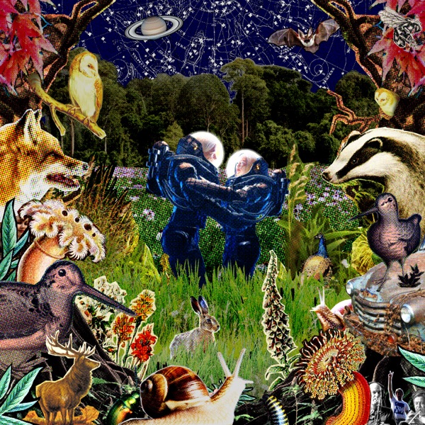Long Grass - Single album cover