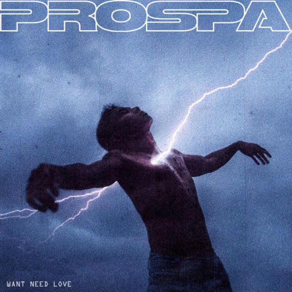 WANT NEED LOVE - Single album cover
