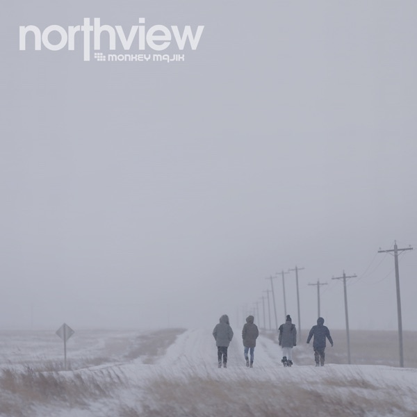 northview album cover
