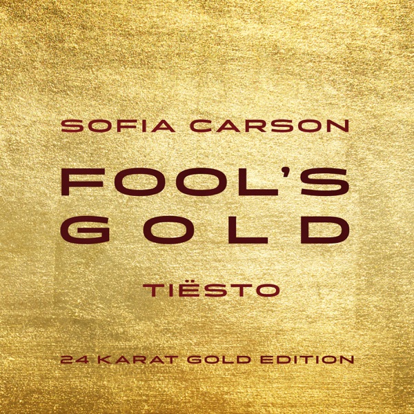 Fool's Gold (Tiësto 24 Karat Gold Edition) - Single album cover