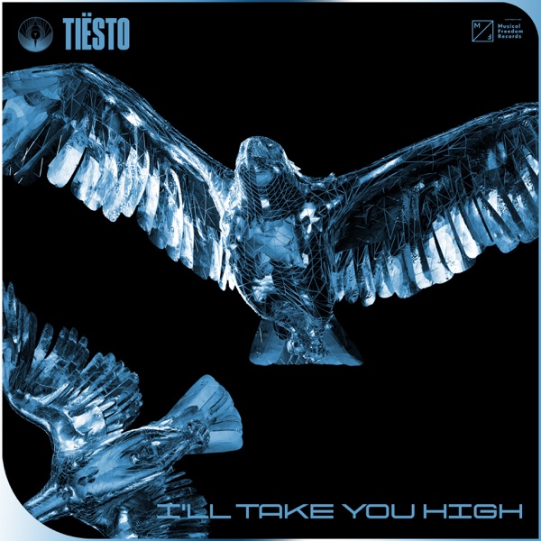 I’ll Take You High - Single album cover