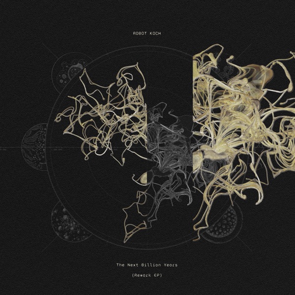 Hawk (Snakes of Russia Rework) [360 Reality Audio] - Single album cover