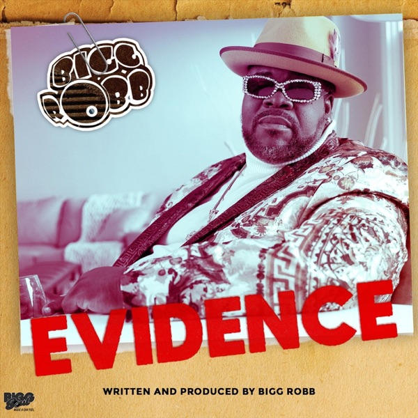 Evidence - Single album cover