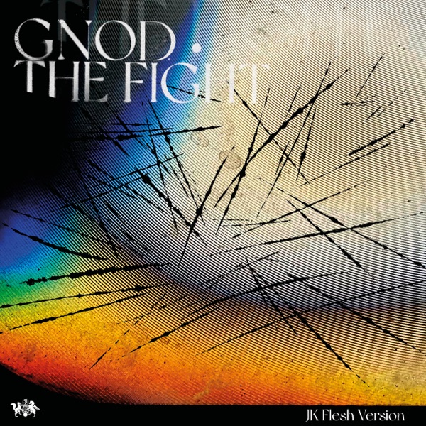 The Fight (JK Flesh Version) - Single album cover
