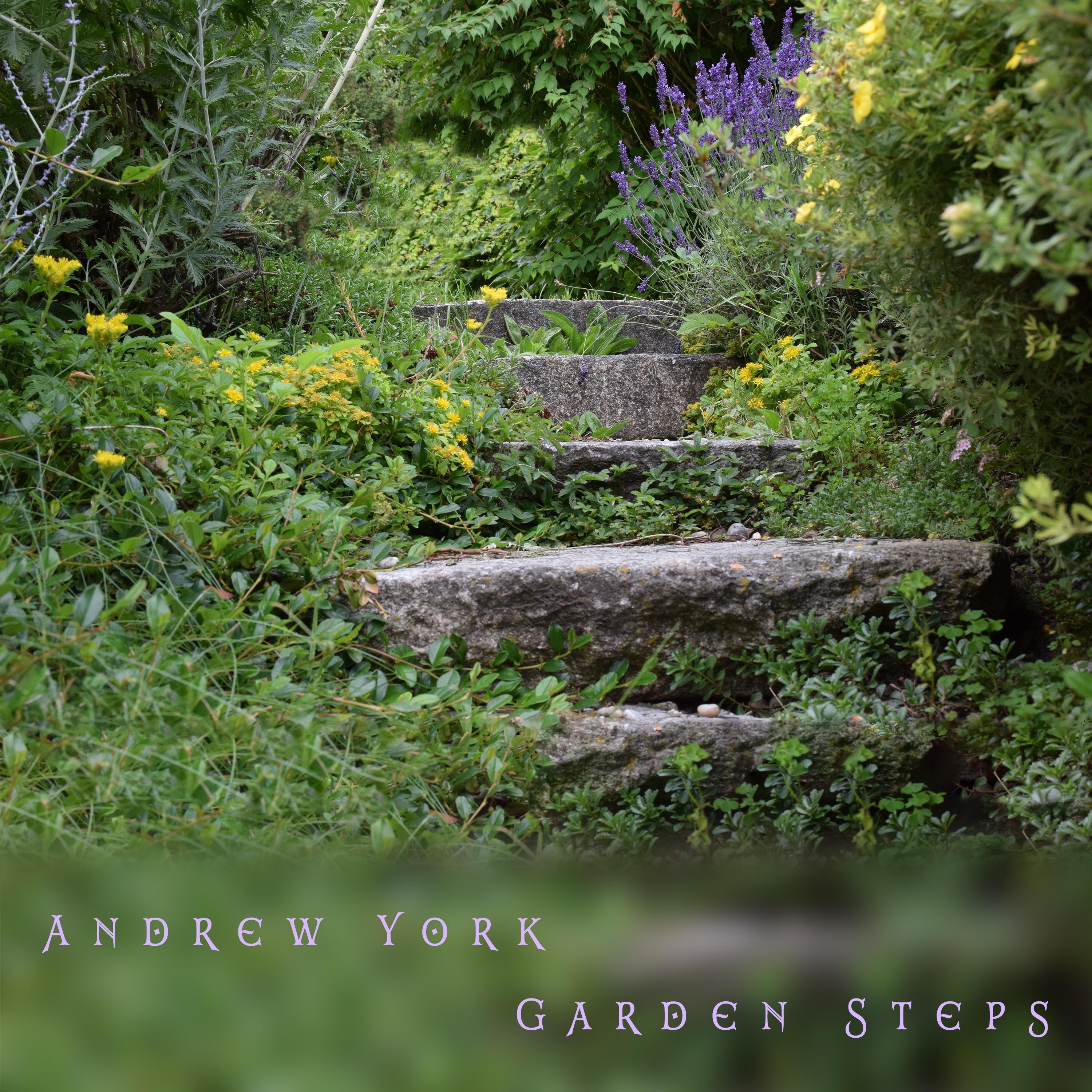 Garden Steps - Single album cover
