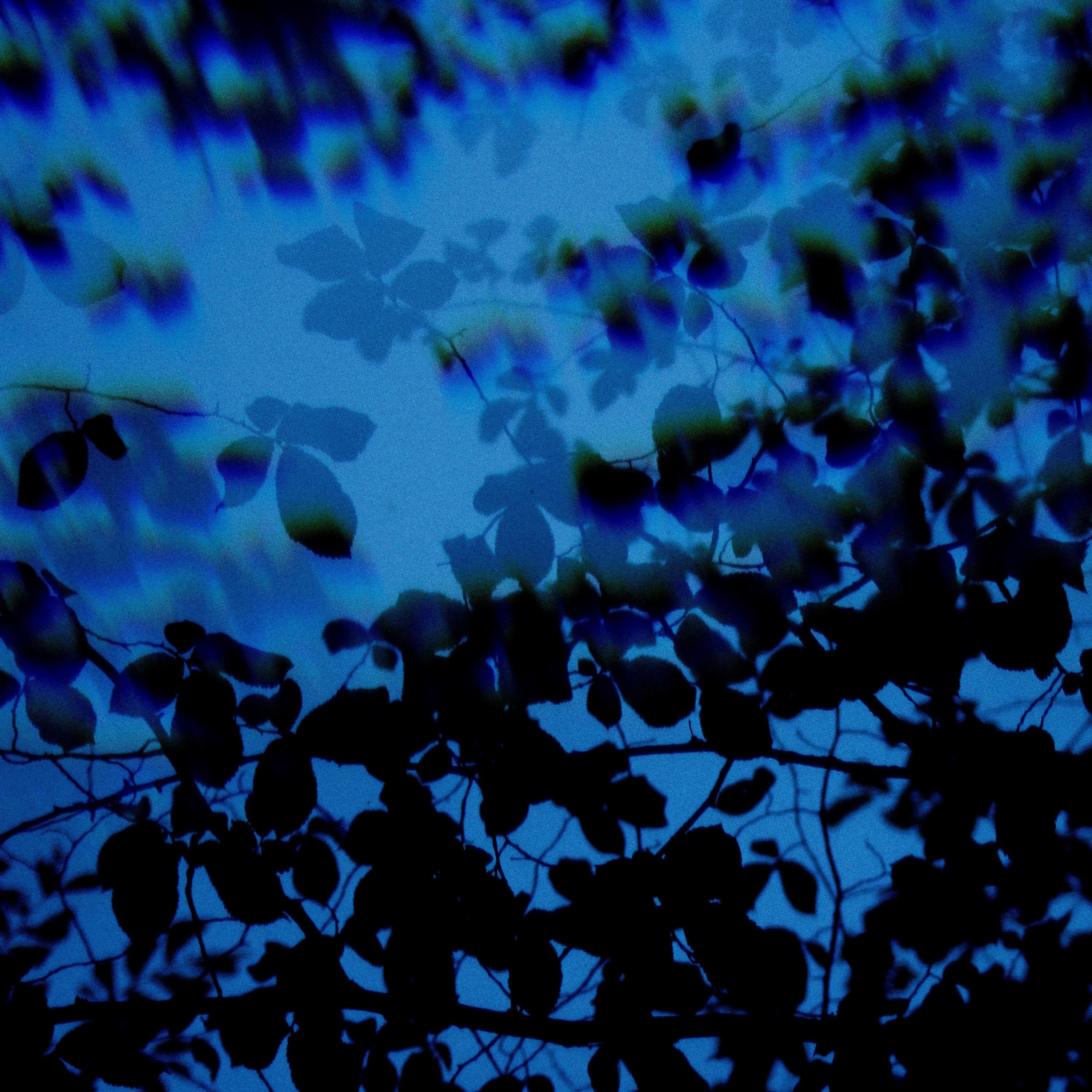 Looking Back - Single album cover