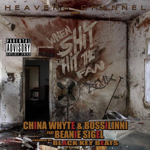 When Shit Hit the Fan (feat. Beanie Sigel) - Single album cover