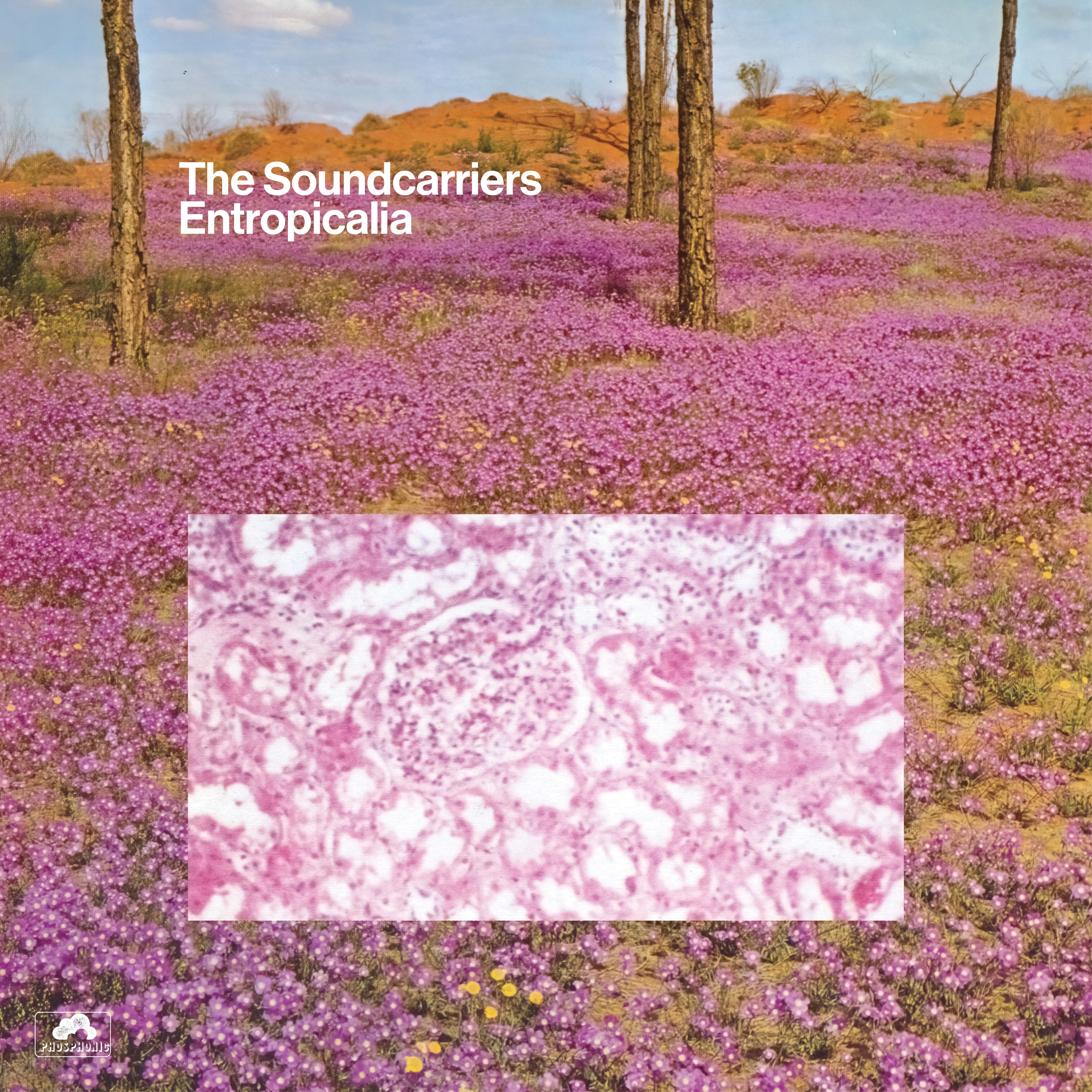 Entropicalia album cover