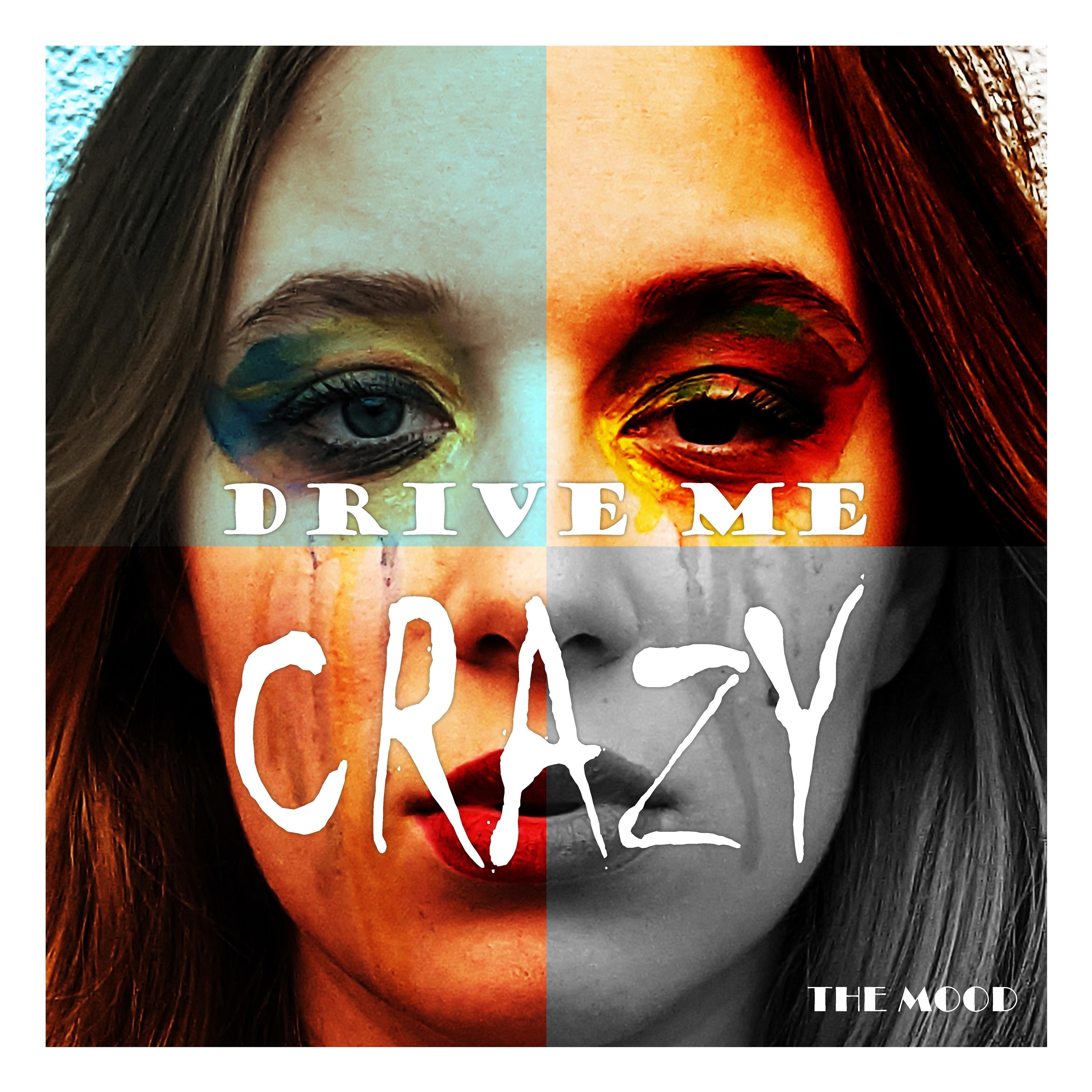 Drive Me Crazy - Single album cover
