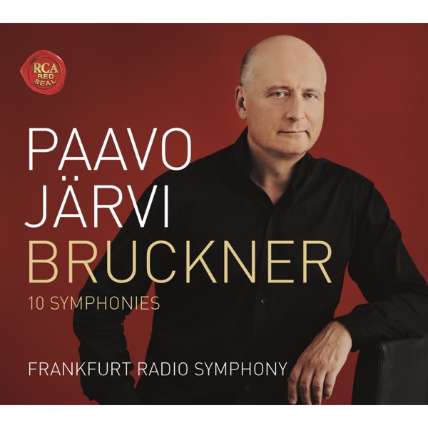 Bruckner: 10 Symphonies album cover