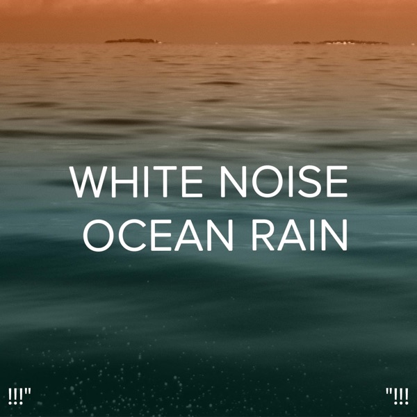 !!!" White Noise Ocean Rain "!!! album cover