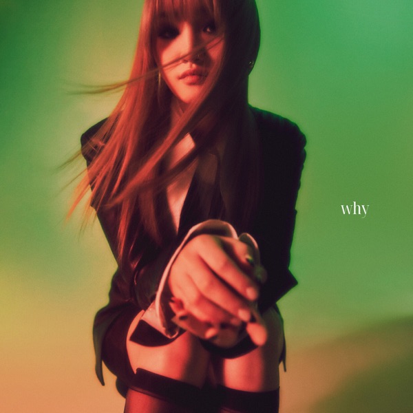 Why (feat. Gaeko) - Single album cover