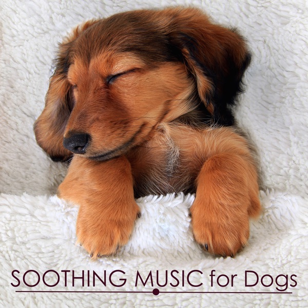 Soothing Music for Dogs: Pet Therapy album cover