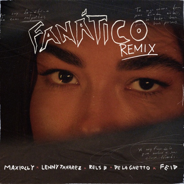 Fanático (feat. Rels B & De La Ghetto) [Remix] - Single album cover