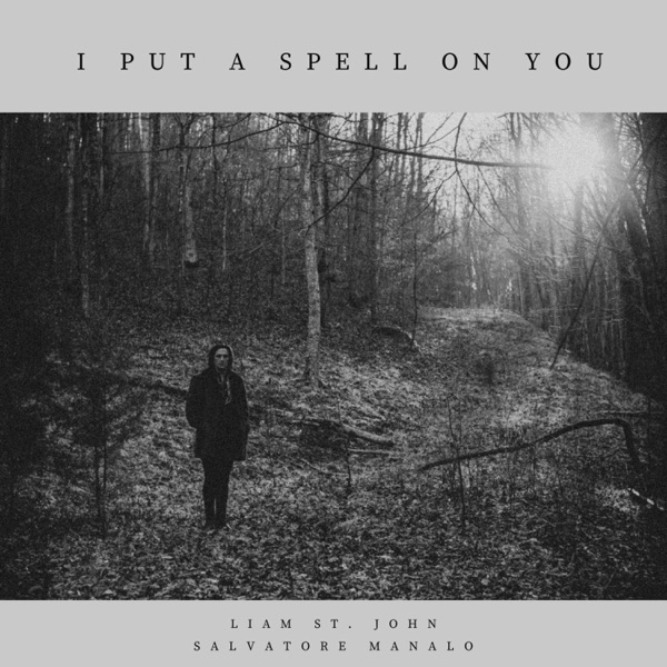 I Put a Spell On You - Single album cover
