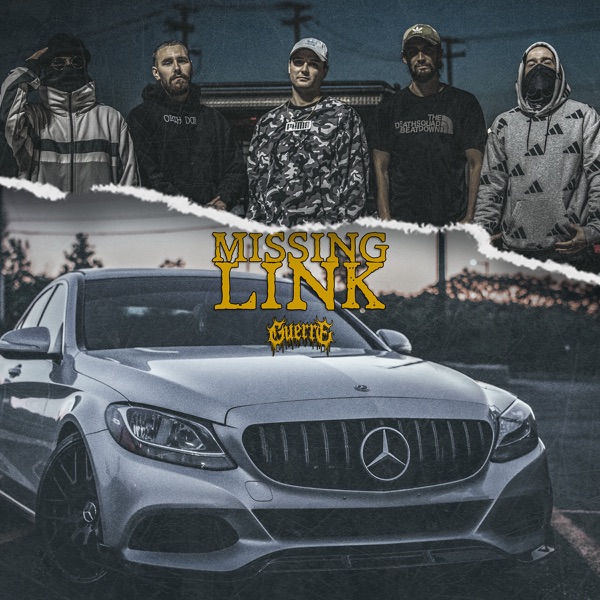 Missing Link - Single (feat. Desolated) - Single album cover