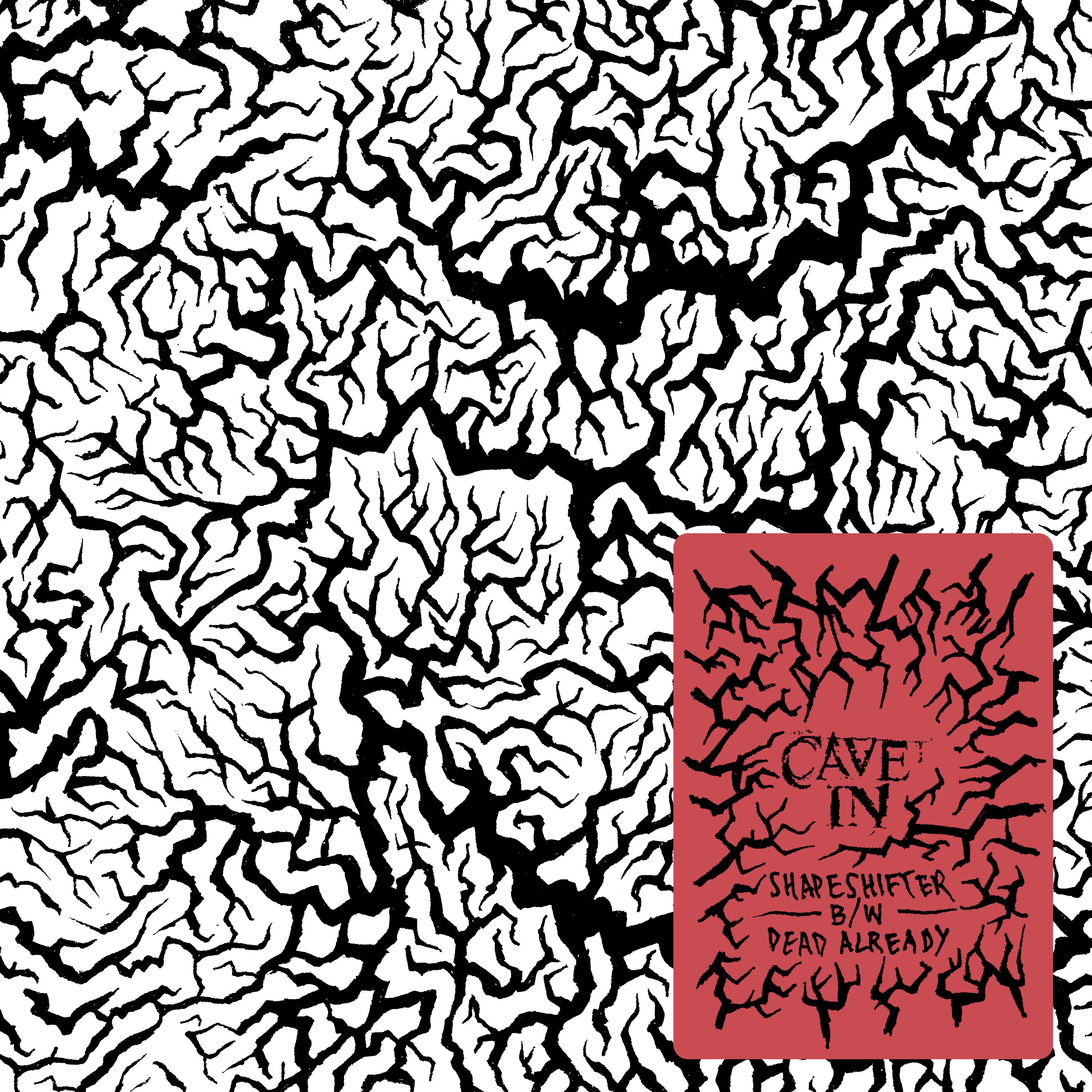 Shapeshifter/Dead Already - Single album cover