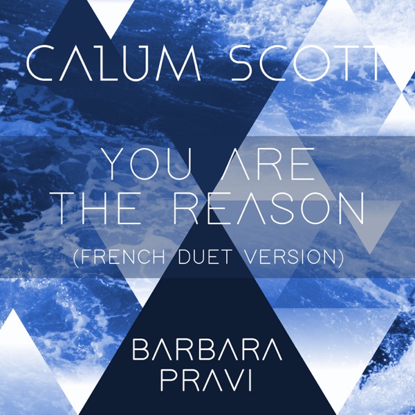 You Are the Reason (French Duet Version) - Single album cover