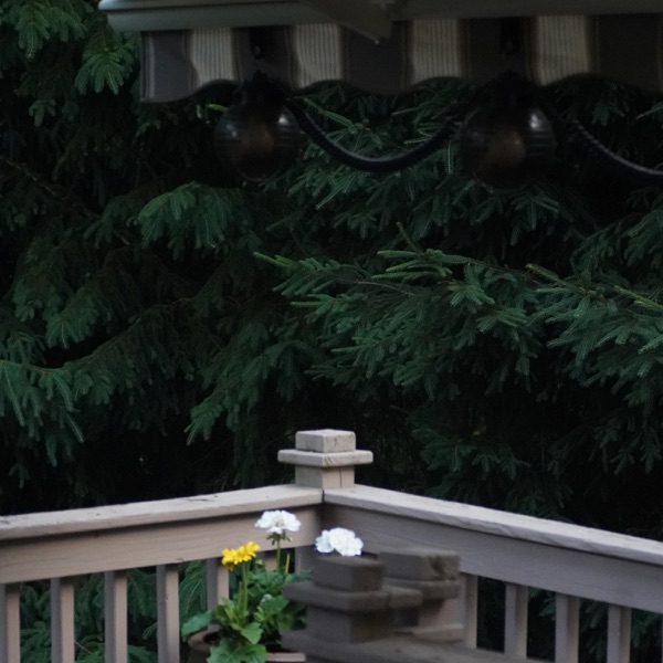 Ramapo River Anthology album cover