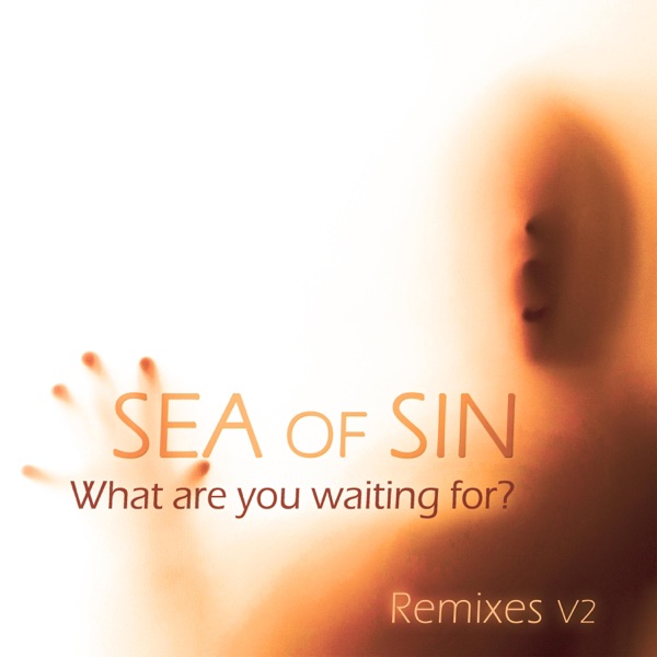 What Are You Waiting for? (Remixes V2) - EP album cover