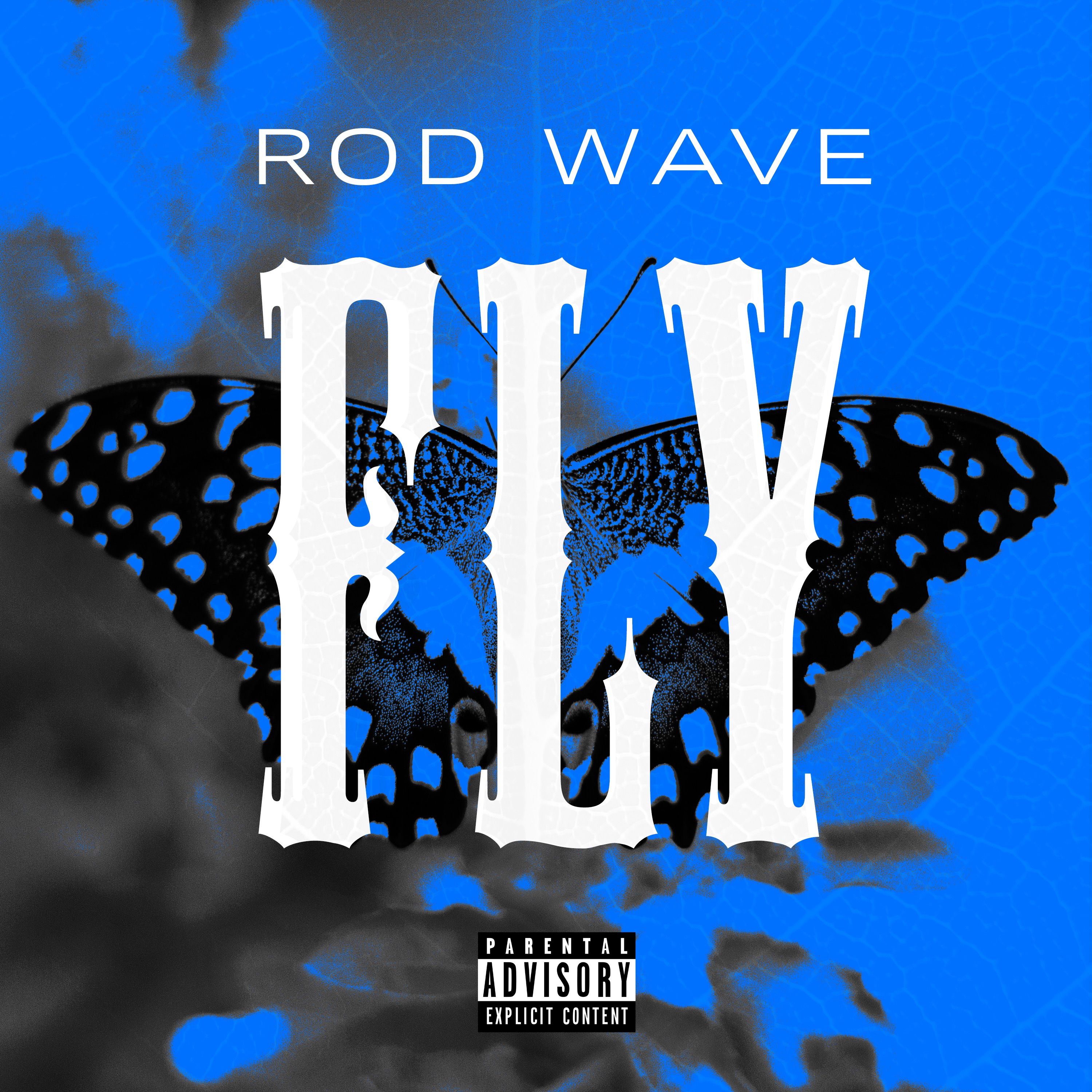 Fly - Single album cover