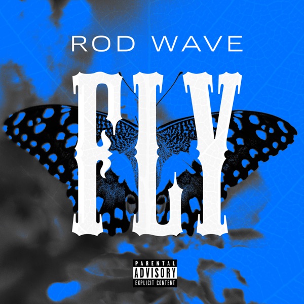 Fly - Single album cover
